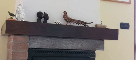 5 bedrooms Villa in Almese, Italy No. 320481 7