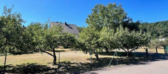 Grundstück in Saarpfalz, Germany, Nr. 323621 2