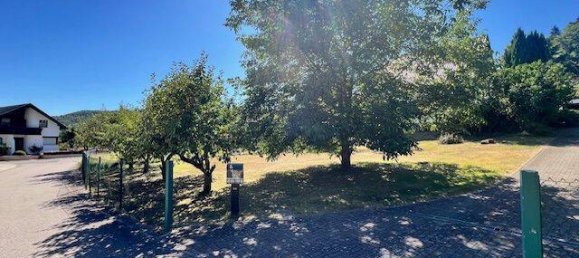 Grundstück in Saarpfalz, Germany, Nr. 323621 3