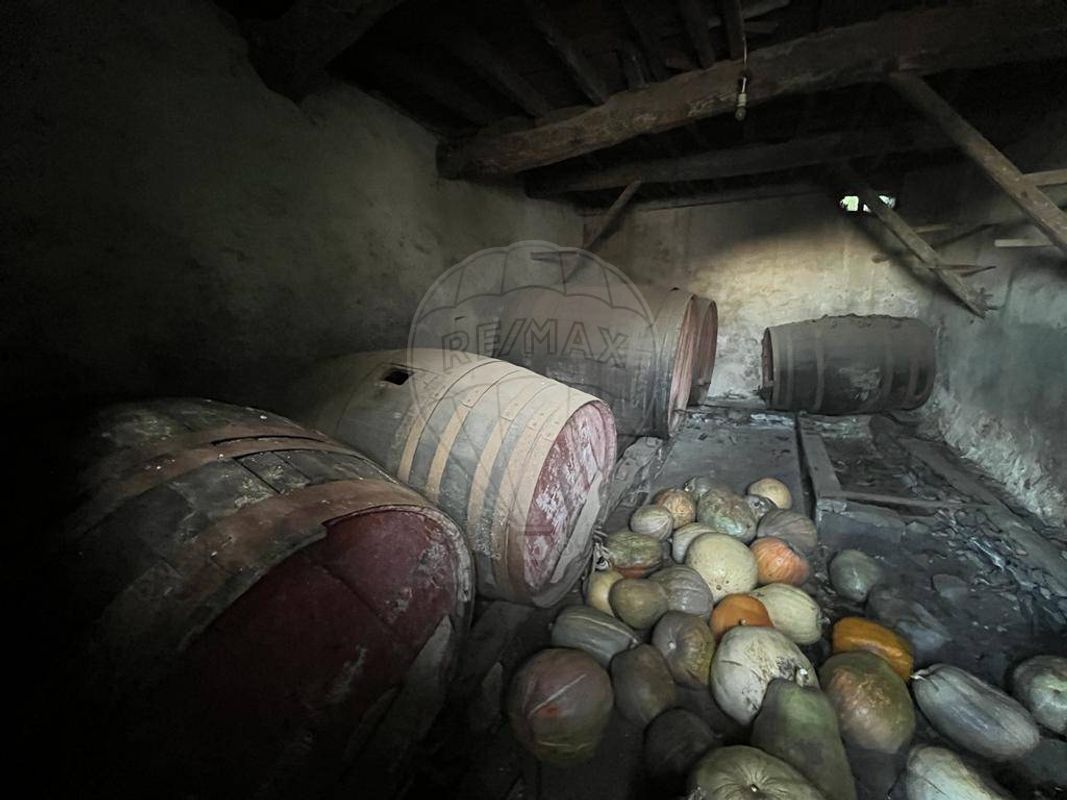 Дом с 7 спальнями в Могадору, Португалия № 39446