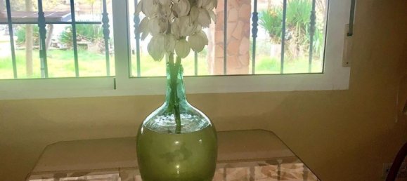 Casa T2 em Penarroya-Pueblonuevo, Spain N.º 102083 38