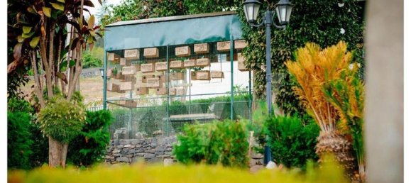 5 chambres Maison à Funchal, Portugal No. 69729 2