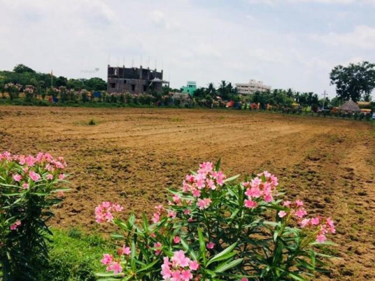 Земельный участок в Ченнаи, Индия № 40194