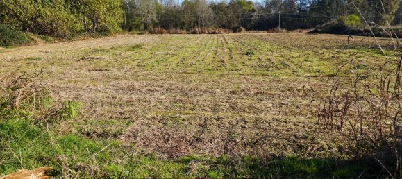 5250m² Land in Cavaglietto, Italy No. 137841 5