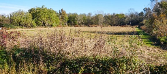 5250m² Land in Cavaglietto, Italy No. 137841 2