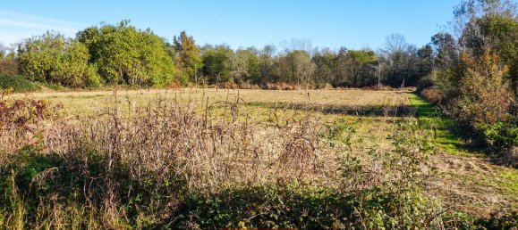 5250m² Land in Cavaglietto, Italy No. 137841 3