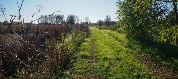 5250m² Land in Cavaglietto, Italy No. 137841 10
