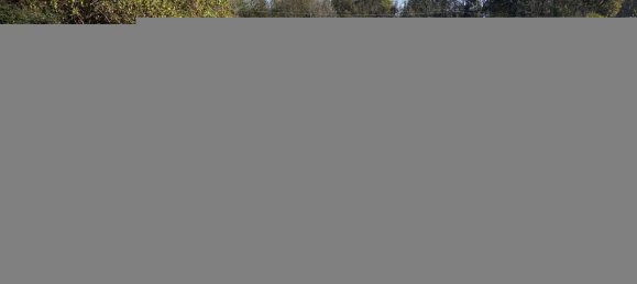 5250m² Land in Cavaglietto, Italy No. 137841 8