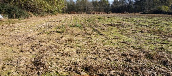 5250m² Land in Cavaglietto, Italy No. 137841 9