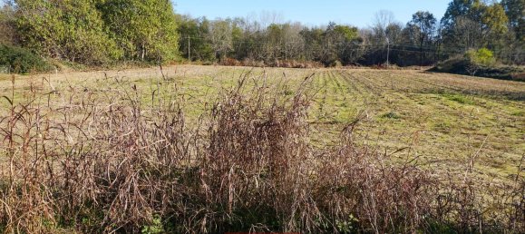 5250m² Land in Cavaglietto, Italy No. 137841 4