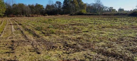 5250m² Land in Cavaglietto, Italy No. 137841 7