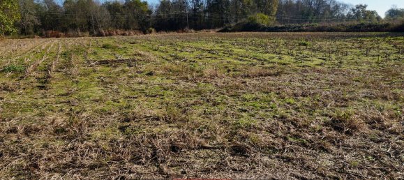 5250m² Land in Cavaglietto, Italy No. 137841 6