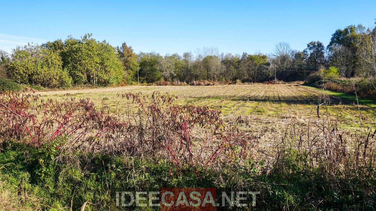 5250m² Land in Cavaglietto, Italy No. 137841