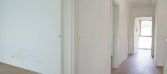 Casa de 6 habitaciónes en Klosterneuburg, Austria No. 169243 15