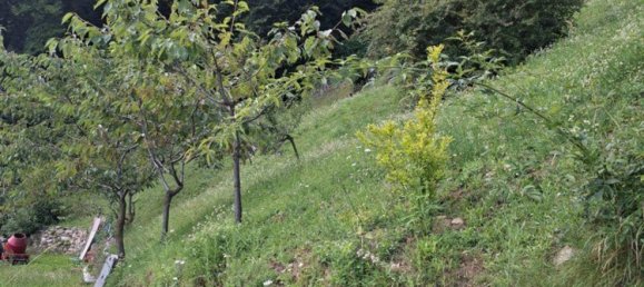 8 bedrooms Villa in Sordevolo, Italy No. 319755 12