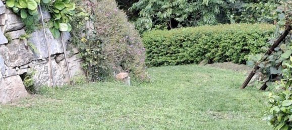 8 bedrooms Villa in Sordevolo, Italy No. 319755 22