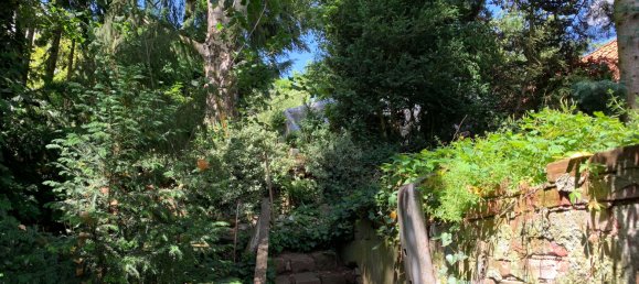 Casa T2 em Nordhausen, Germany N.º 16331 19