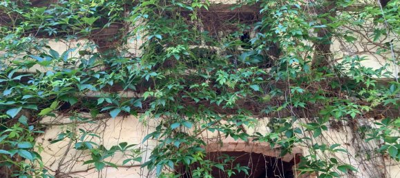 Casa T2 em Nordhausen, Germany N.º 16331 23