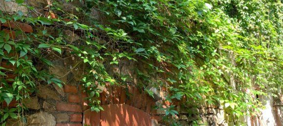 Casa T2 em Nordhausen, Germany N.º 16331 26