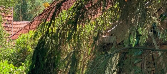 Casa T2 em Nordhausen, Germany N.º 16331 7