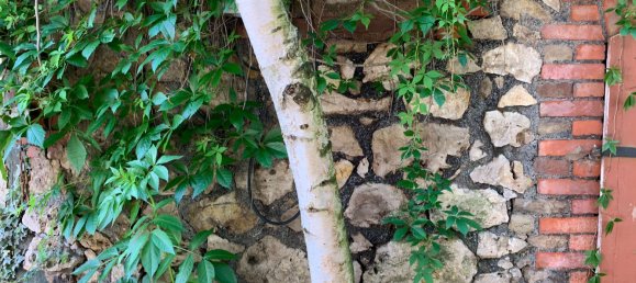 Casa T2 em Nordhausen, Germany N.º 16331 22