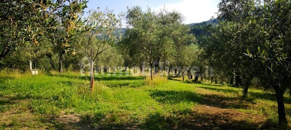 20 Schlafzimmer Haus in Fivizzano, Italy, Nr. 290927 13