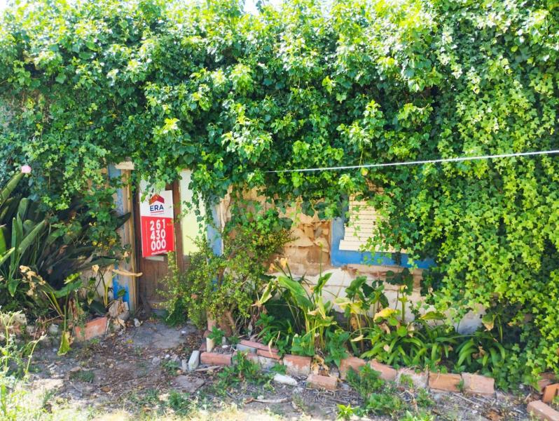 1 Schlafzimmer Haus in Lourinha, Portugal, Nr. 71141