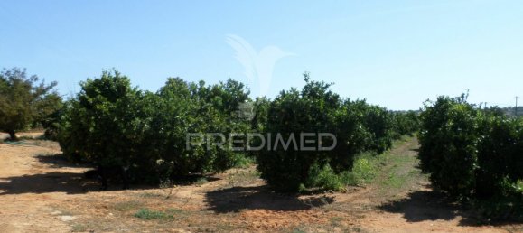  قطعة أرض في Loule, Portugal رقم 289150 6