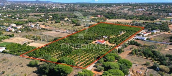  قطعة أرض في Loule, Portugal رقم 289150 8