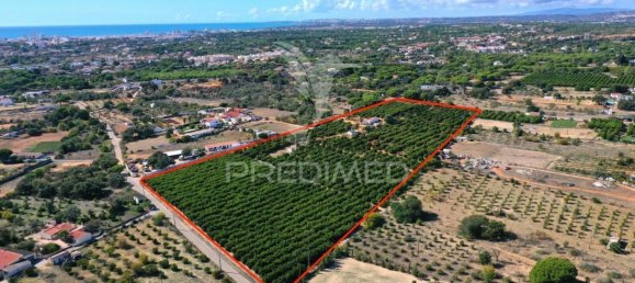  قطعة أرض في Loule, Portugal رقم 289150 10