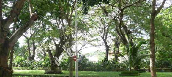 Wohnung in District 12, Vietnam 151m², Nr. 11008 14