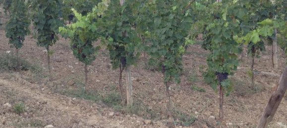 3 bedrooms House in Castelnuovo di Val di Cecina, Italy No. 327040 4