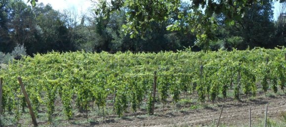 3 bedrooms House in Castelnuovo di Val di Cecina, Italy No. 327040 10