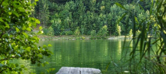 5 rooms Apartment in Finkenstein am Faaker See, Austria No. 201607 14