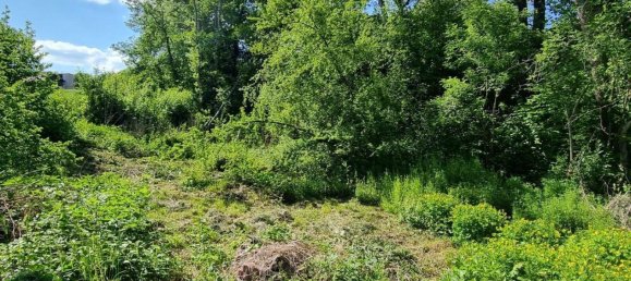 2-salle Maison à Tullnerbach, Austria No. 244373 15