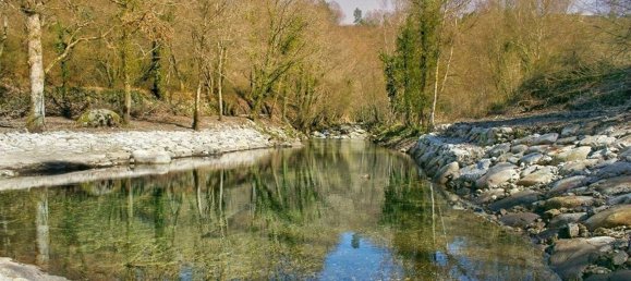 2 غرف نوم منزل في Vieira do Minho, Portugal رقم 42964 39