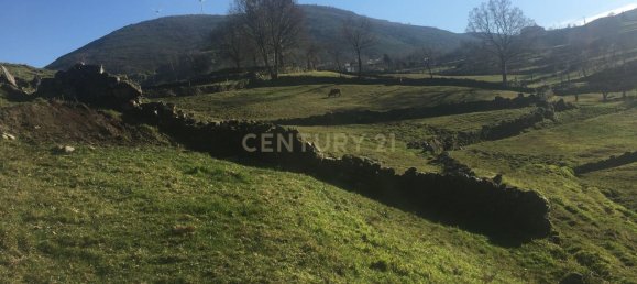 2 غرف نوم منزل في Vieira do Minho, Portugal رقم 42964 20