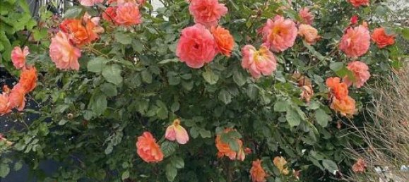 7-Zimmer Stadthaus in Dachau, Germany, Nr. 138094 10