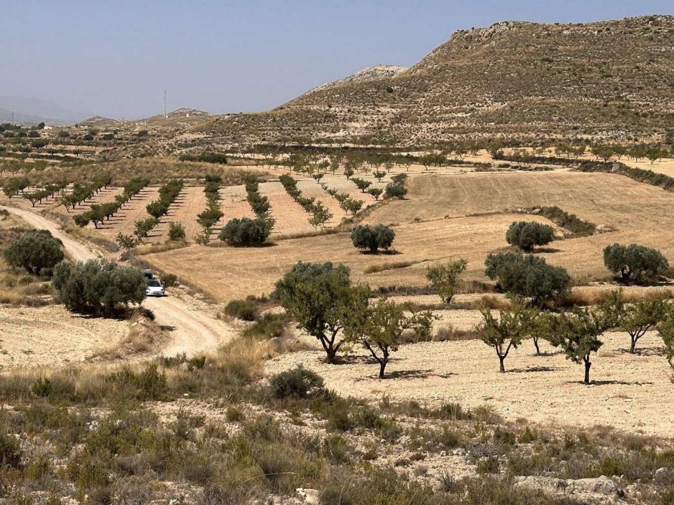 Terreno em Jumilla, Spain N.º 196658