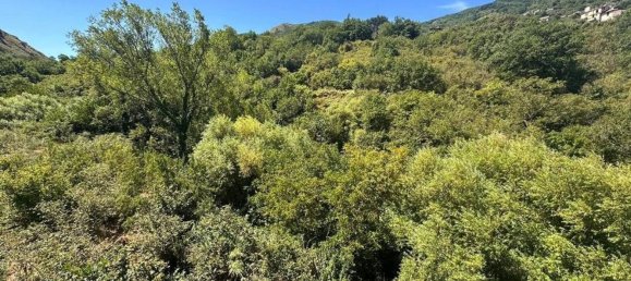 Вилла с 9 спальнями в Торторичи, Италия № 341157 28