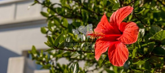 3 bedrooms Villa in Olhao, Portugal No. 124625 34