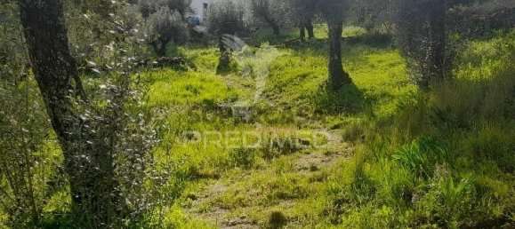 Дом с 3 спальнями в Порталегри, Португалия № 157001 6