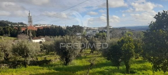 Дом с 3 спальнями в Порталегри, Португалия № 157001 8