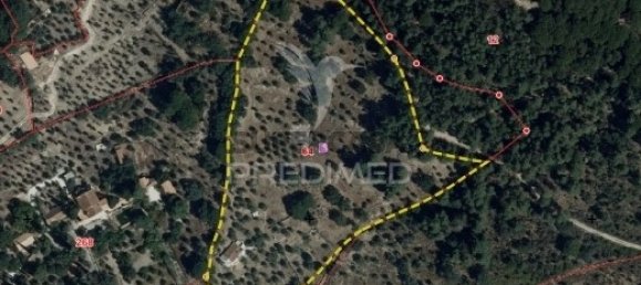 Дом с 3 спальнями в Порталегри, Португалия № 157001 16