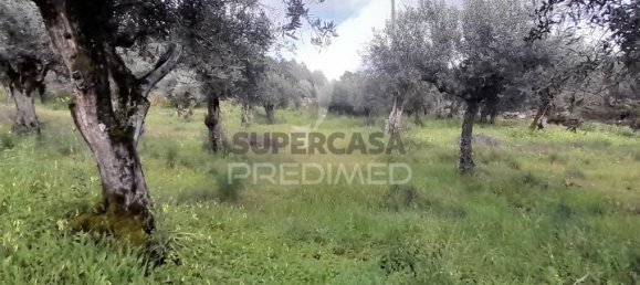 Дом с 3 спальнями в Порталегри, Португалия № 157001 3