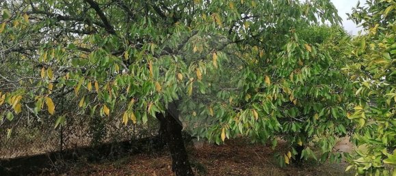 5 غرف نوم منزل في Alvaiazere, Portugal رقم 26035 29