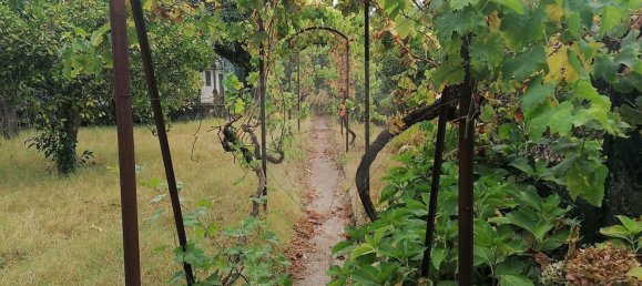 5 غرف نوم منزل في Alvaiazere, Portugal رقم 26035 33