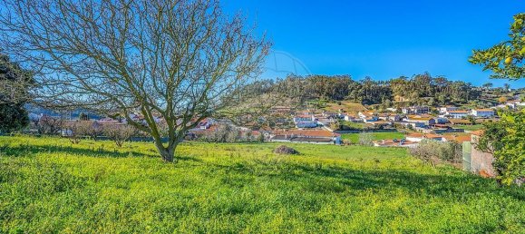 4 Schlafzimmer Haus in Alcobaca, Portugal, Nr. 29225 42