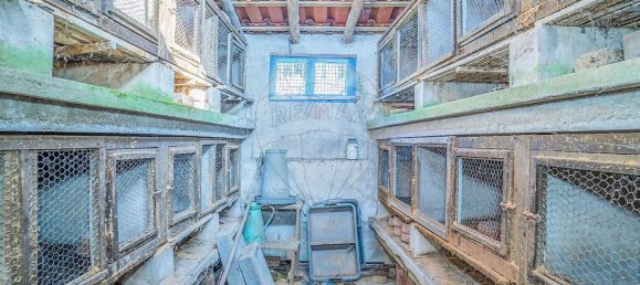 4 Schlafzimmer Haus in Alcobaca, Portugal, Nr. 29225 33