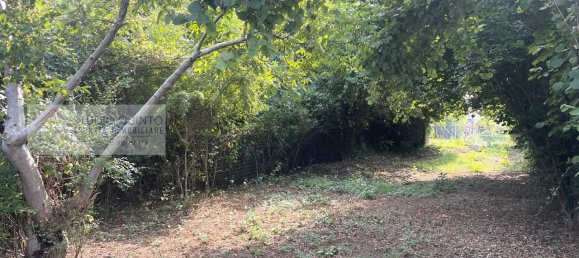 3 rooms Villa in Quinto di Treviso, Italy No. 71176 4